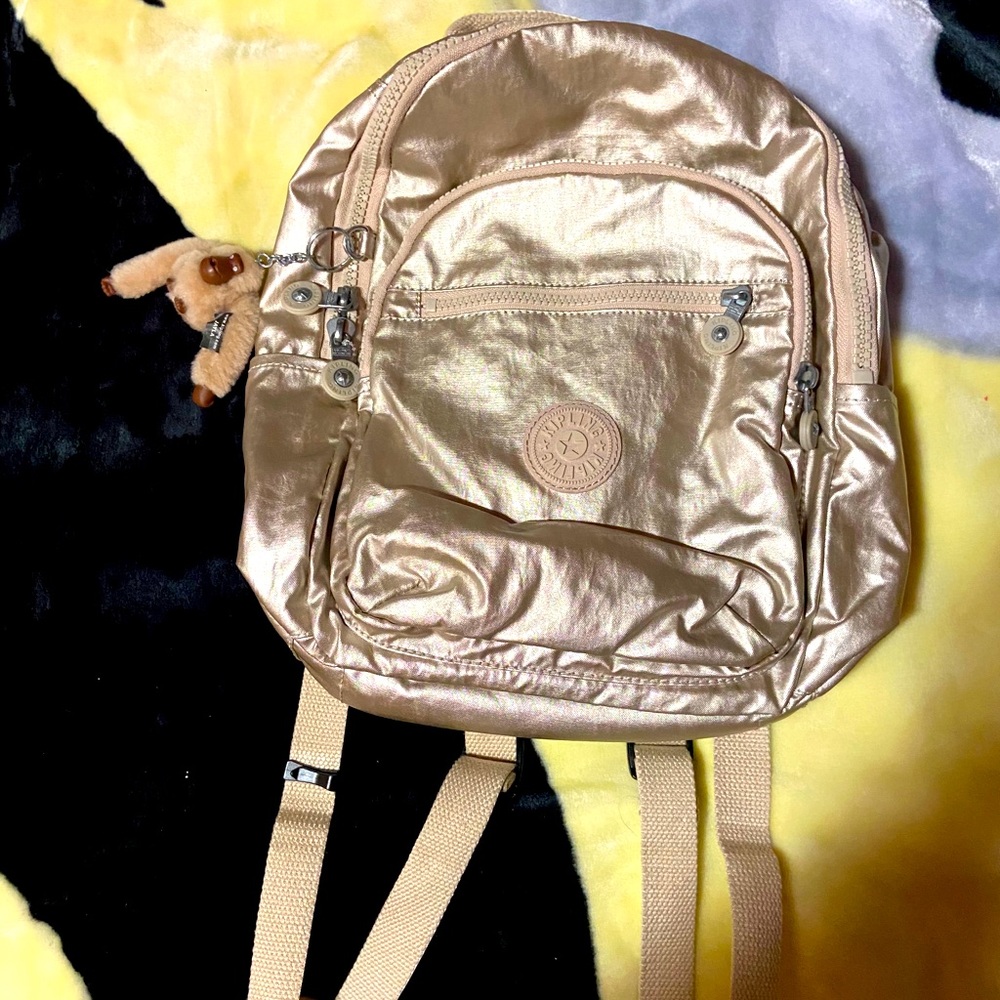 Kipling bag